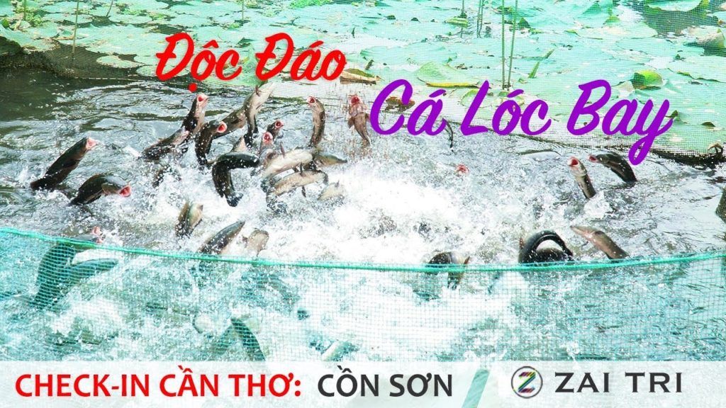 5 điểm đến yêu thích du lịch miền Tây dịp lễ 30/4 14 den con son o can tho xem man bi