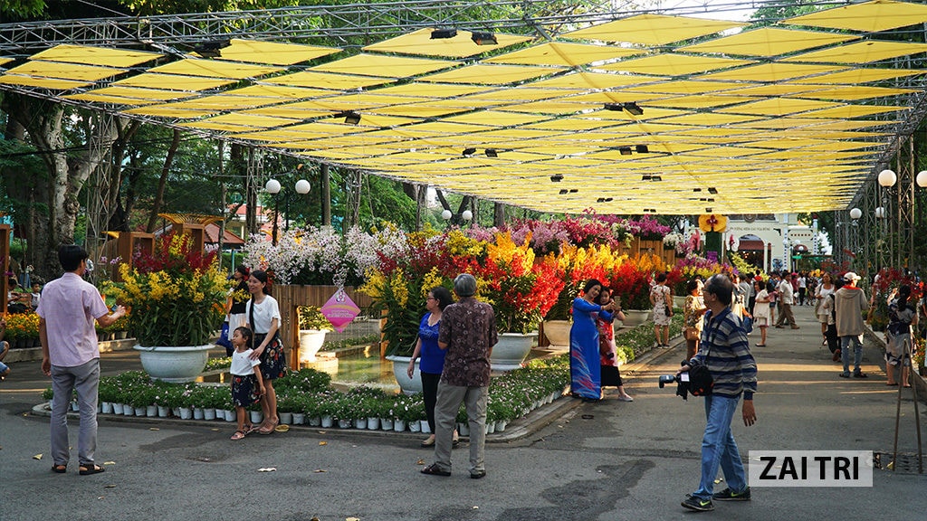 Hoa lan đẹp ở Festival hoa Lan 2019 ở công viên Tao Đàn - TpHCM 16 HoaLan 6
