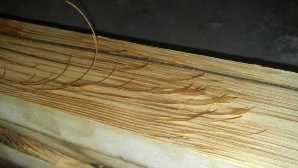 This started happening on about the 9 and 10th board, you can see pieces of the grain start to curl up. What causes this? I am inclined to believe its a poor quality of wood but is it maybe a dull blade? Am I trying to cut off too much at a time (I am only doing about 1/32" per pass)? Any incite would be awesome! Thanks