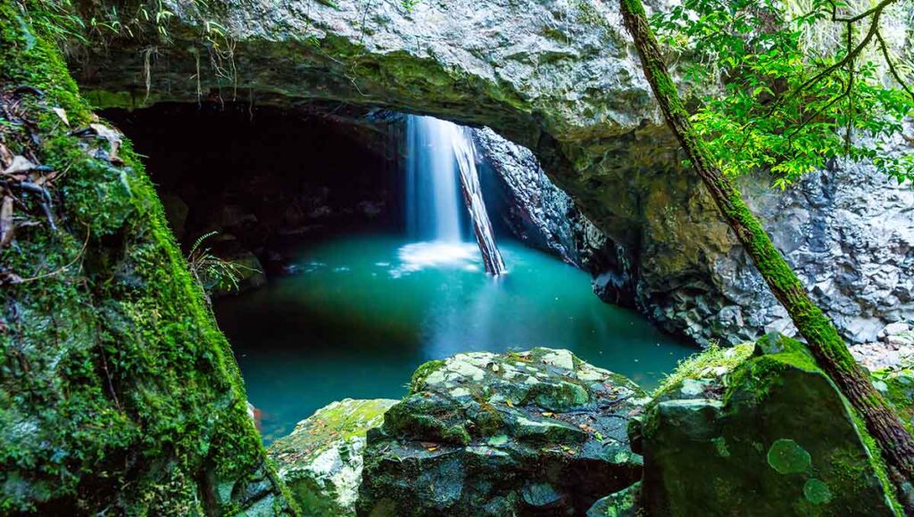 Springbrook National Park - ultimate australian honeymoon
