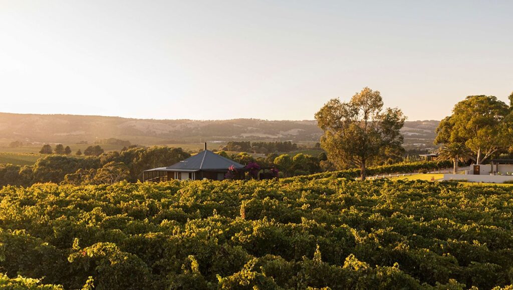 Australian winery weekend