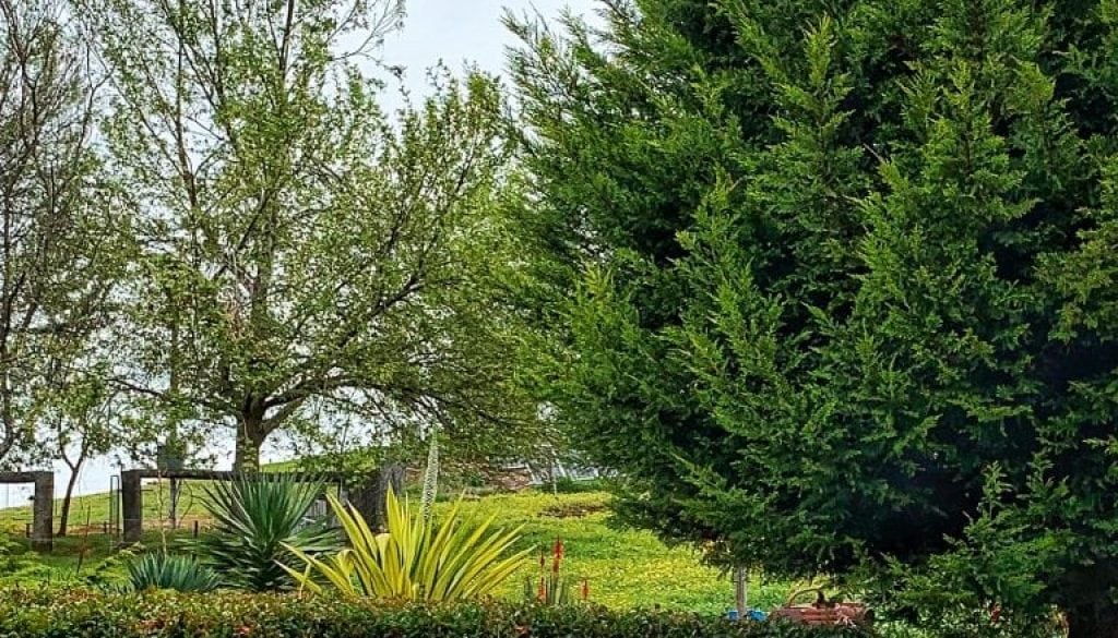 TG Chooks at the entrance