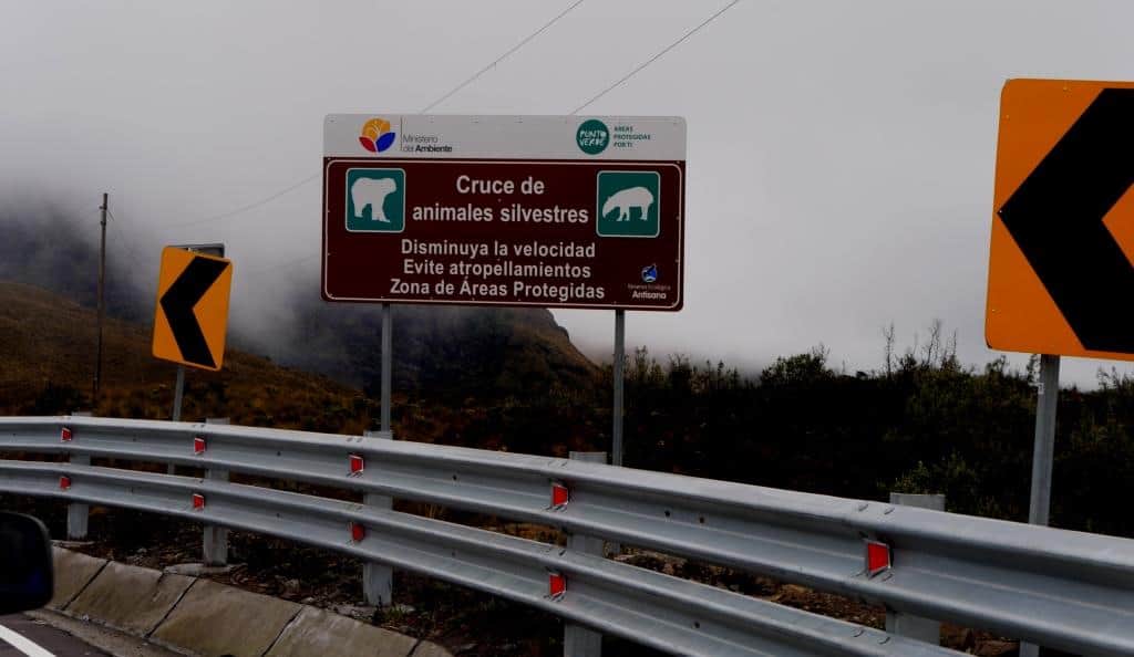 Nature and Adventure Road Trip in Ecuador