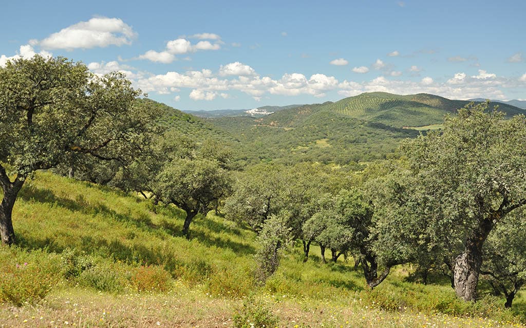 La Sierra de Aracena es uno de los mejores destinos para hacer una escapada rural de fin de semana en Andalucía