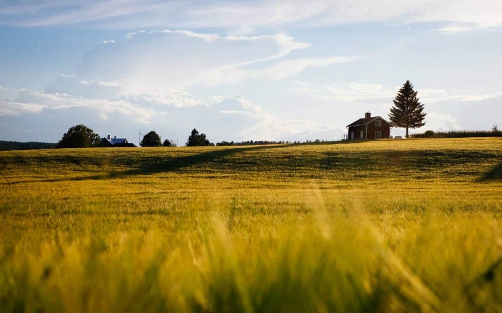 work with me - Home in the Pastures