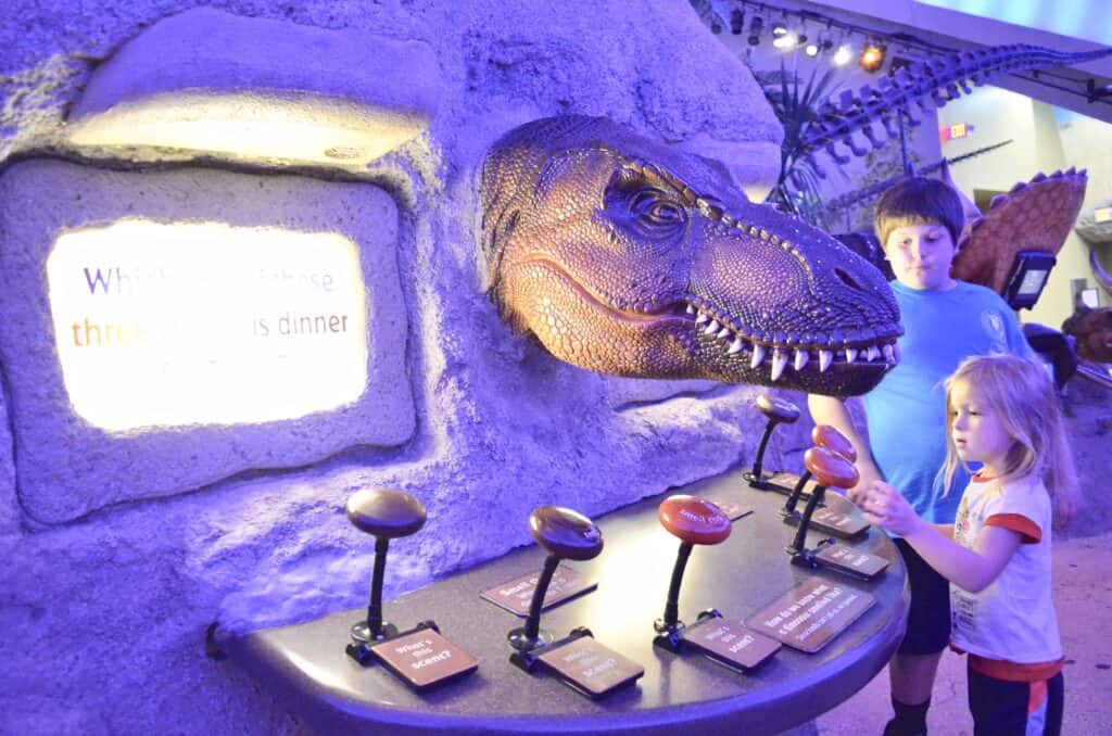 What Is There To Do At The Children S Museum Of Indianapolis