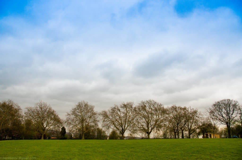 Hilly Fields London