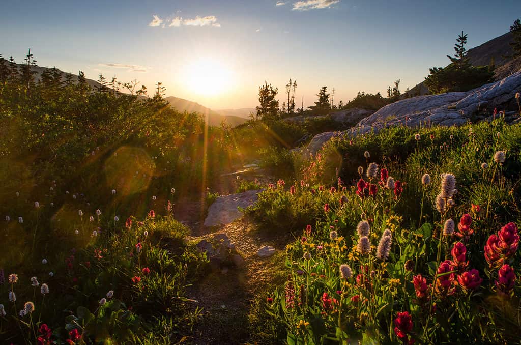 Guided Hiking in RMNP