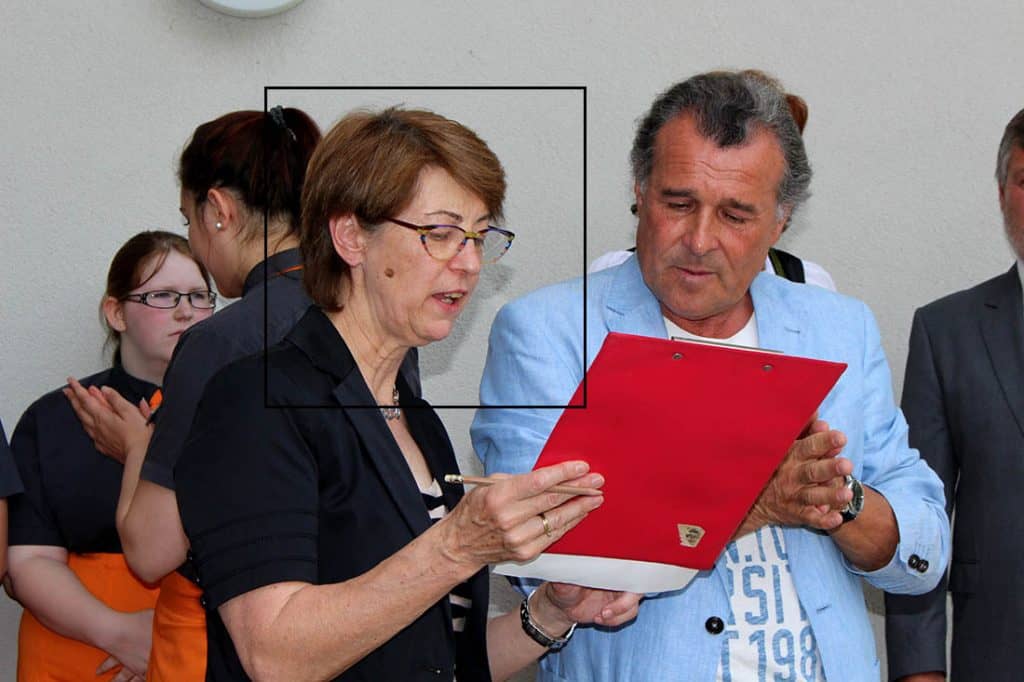 Direktor