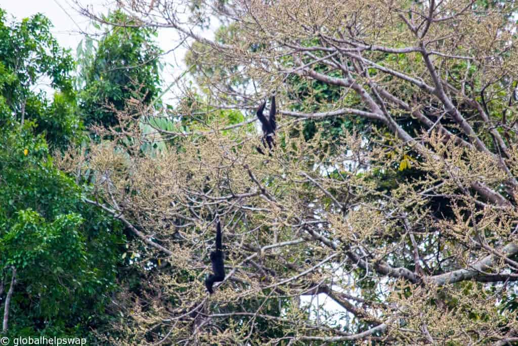 Khao Sok National Park