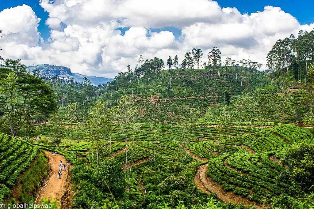 Ella Sri Lanka 8 Incredible Things To Do In Ella Sri Lanka