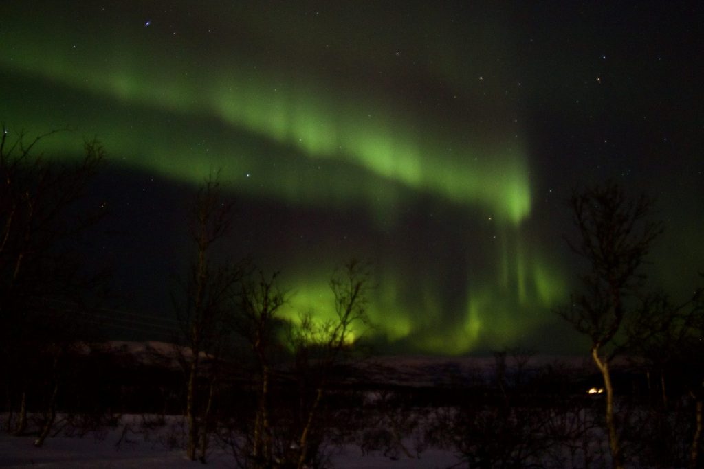 Magische Nordlichttour mit Scan Adventure AS Magische Nordlichttour mit Scan Adventure Travel AS