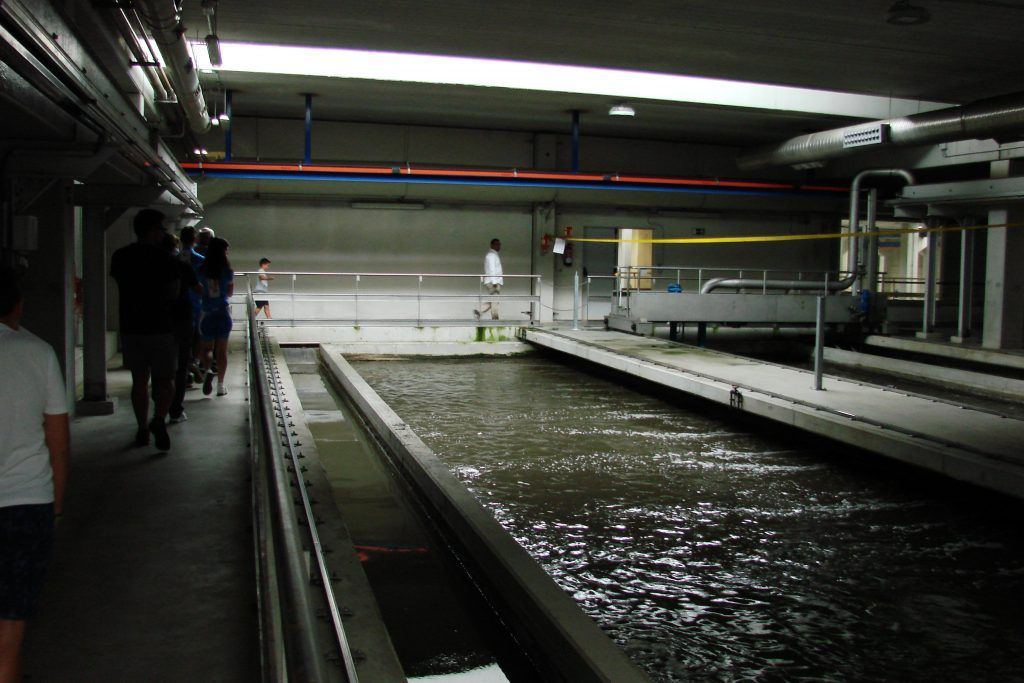 Tratamiento del agua residual