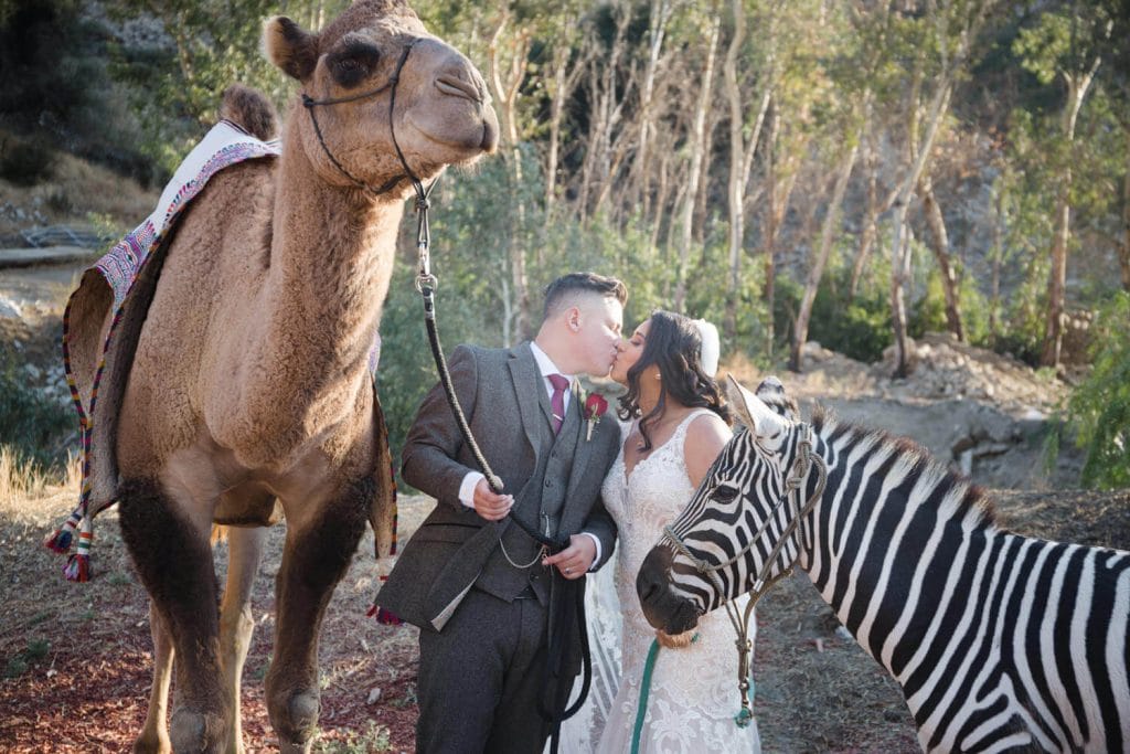 best wedding photos 2019