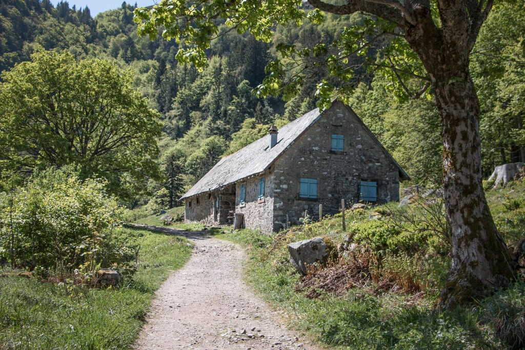 la marcairie du Frakenthal, Vosges