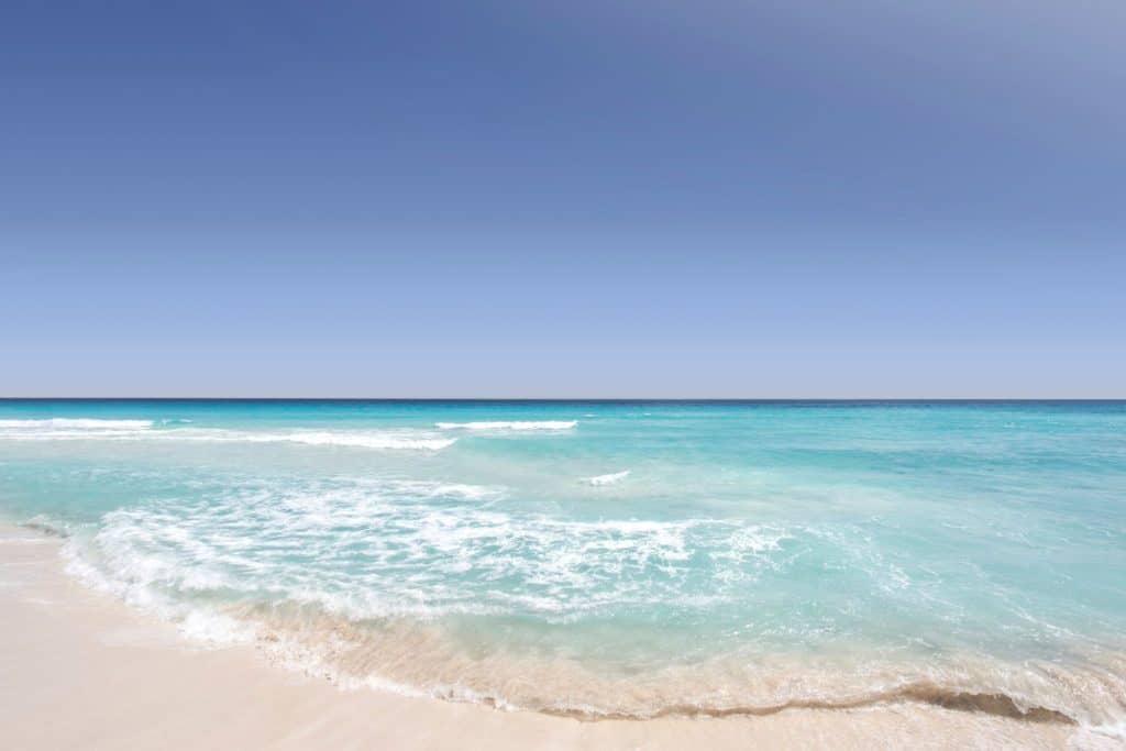 cayman islands, stingray city,
grand cayman, 5 things to do in the cayman islands