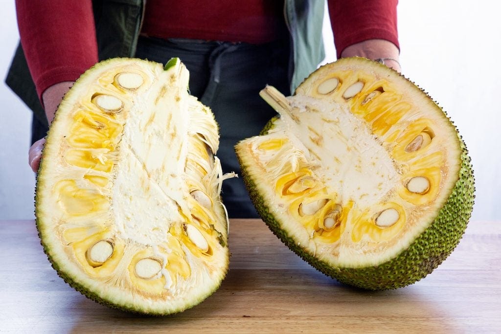 Author lifts 2 halves of split jackfruit, the largest of all exotic tropical fruits, on table