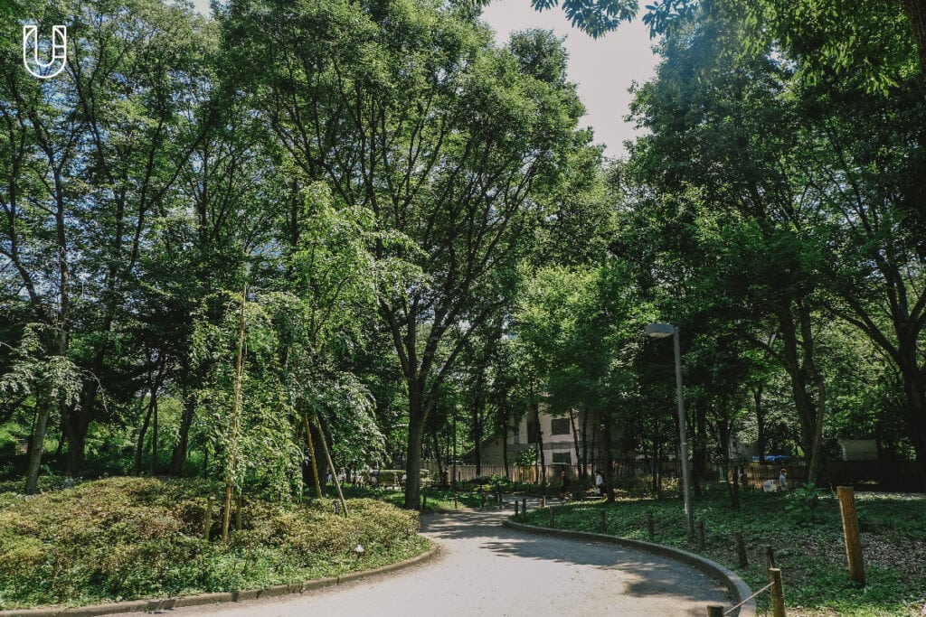 Shinjuku Chuo Park