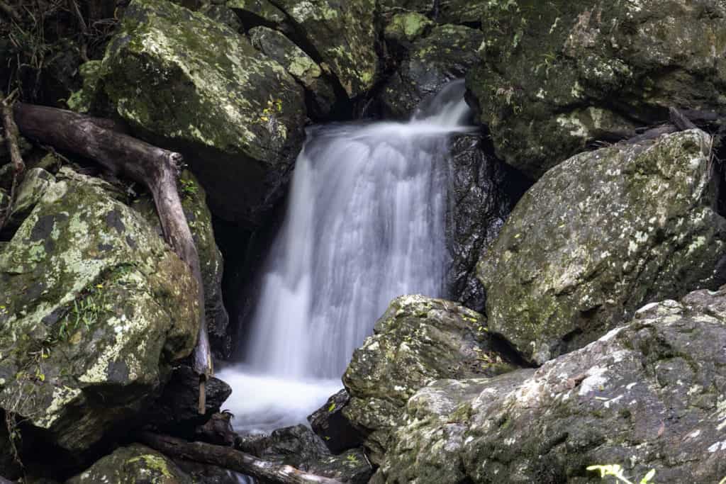 Twin Falls Springbrook