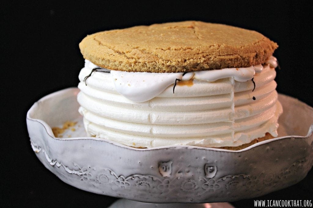 Peanut Butter Ice Cream Sandwich Cake Recipe I Can Cook That