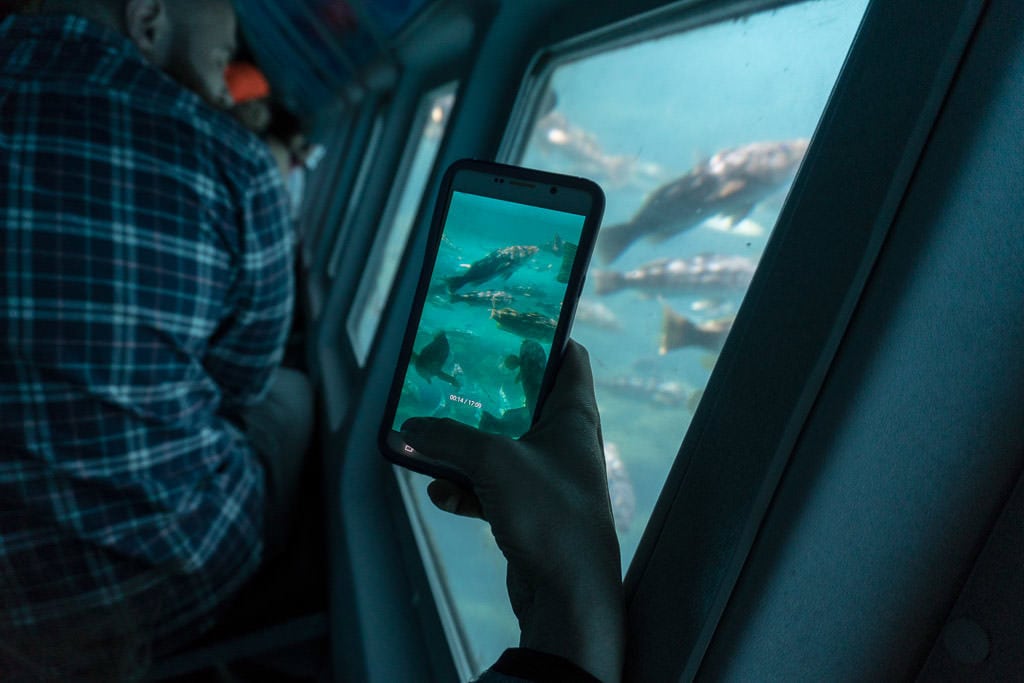 Brooke using her cell phone to get a picture of the fish during our Undersea Expedition