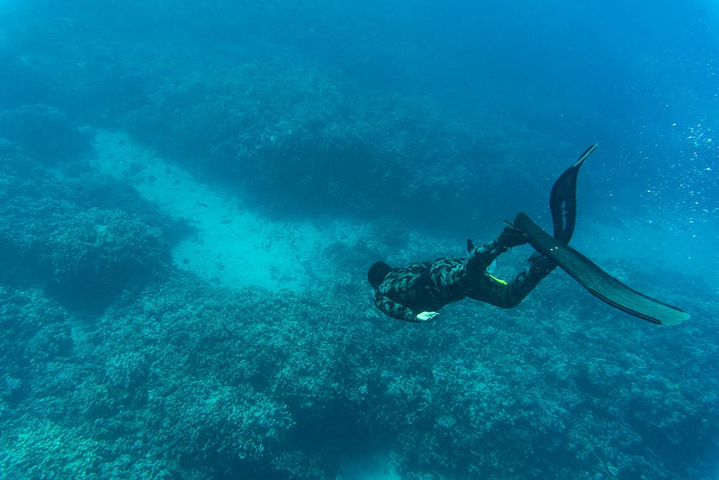 freediving divemaster while snorkeling in molokai