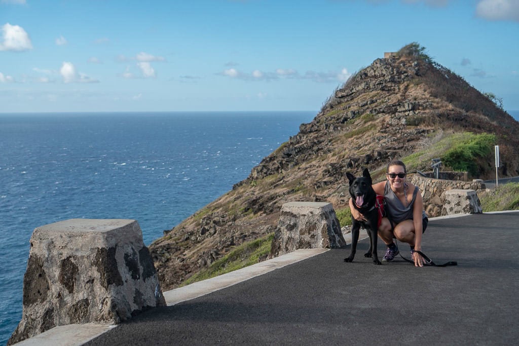 Trusted Housesitters sit in hawaii