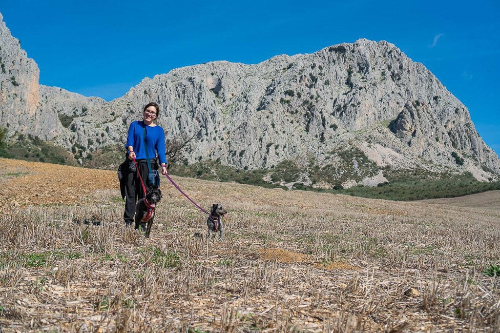walking dogs in rural spain mountains while house sitting in Europe