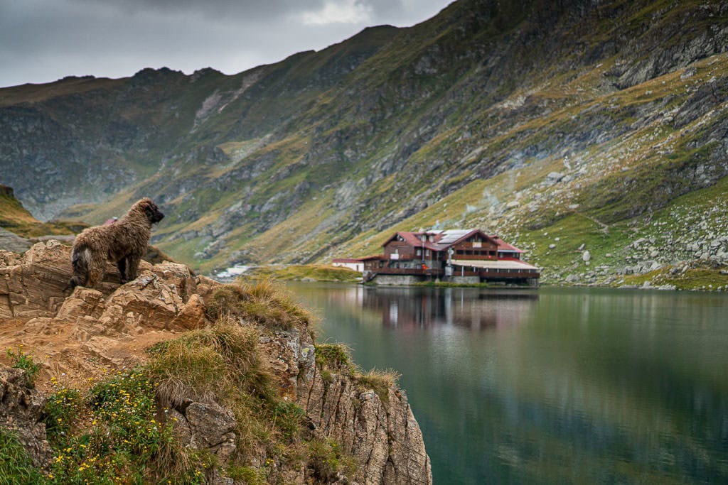 Transfagarasan Highway in romania