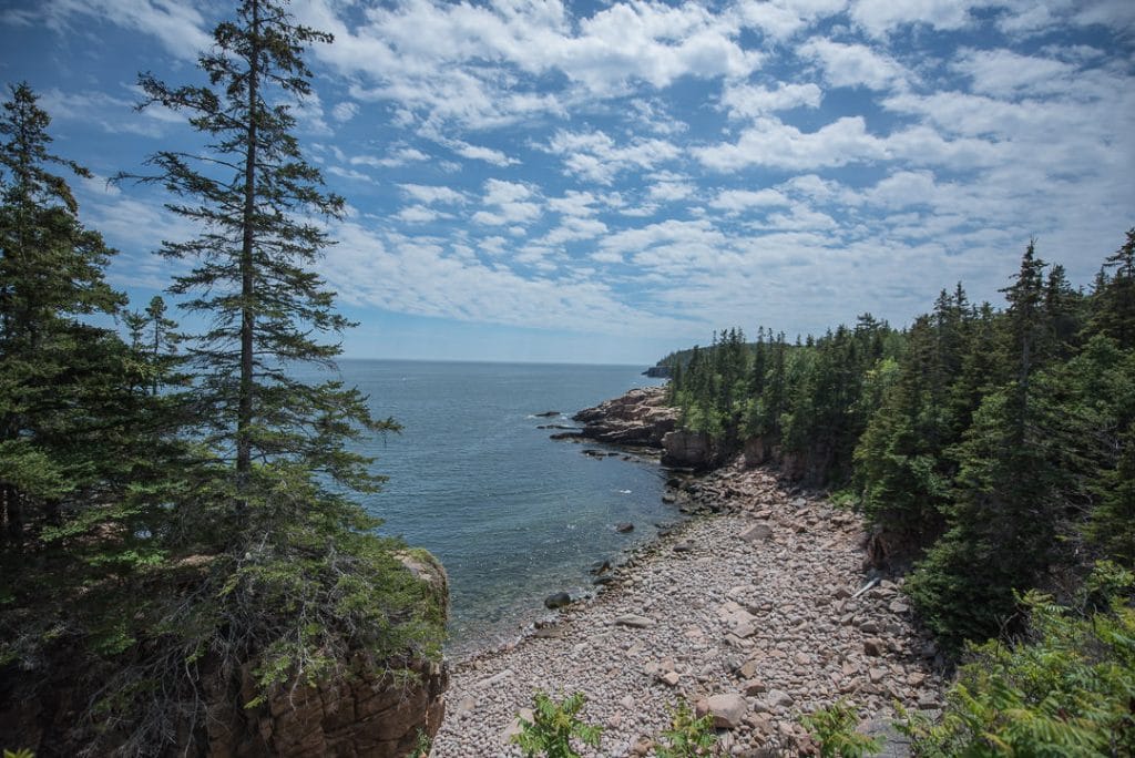Coastal view in an opening from the wooded trail