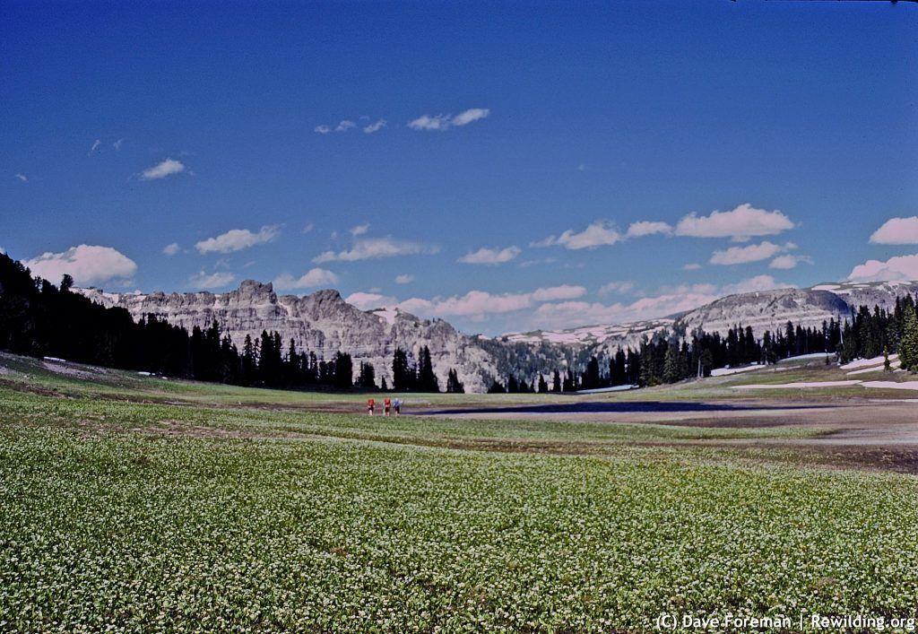 Bonneville Pass, DuNoir, WY