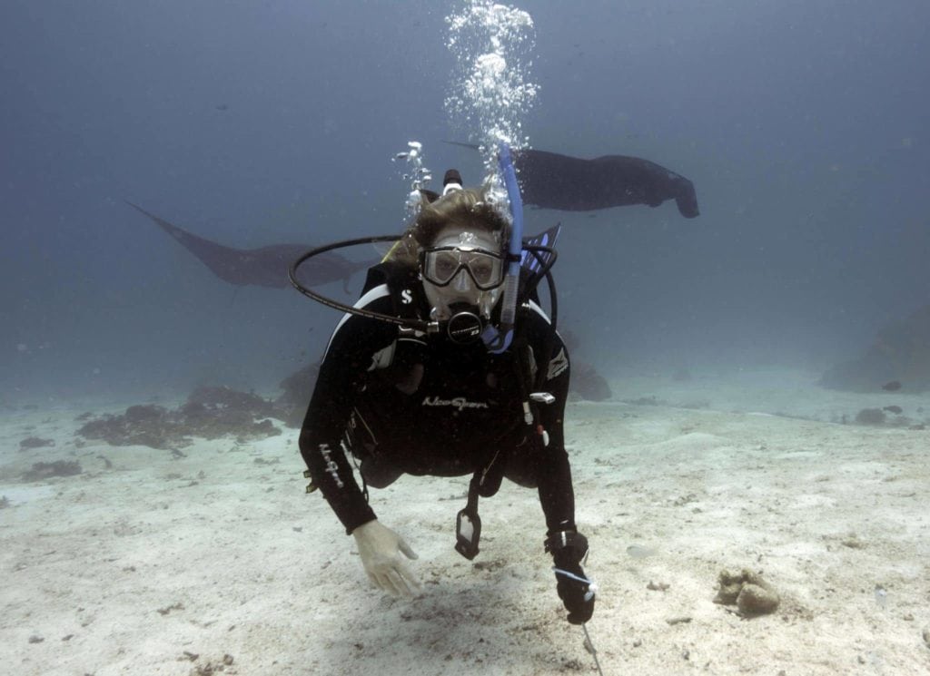 worldmantaday, #worldmantaday, world manta day, mantas