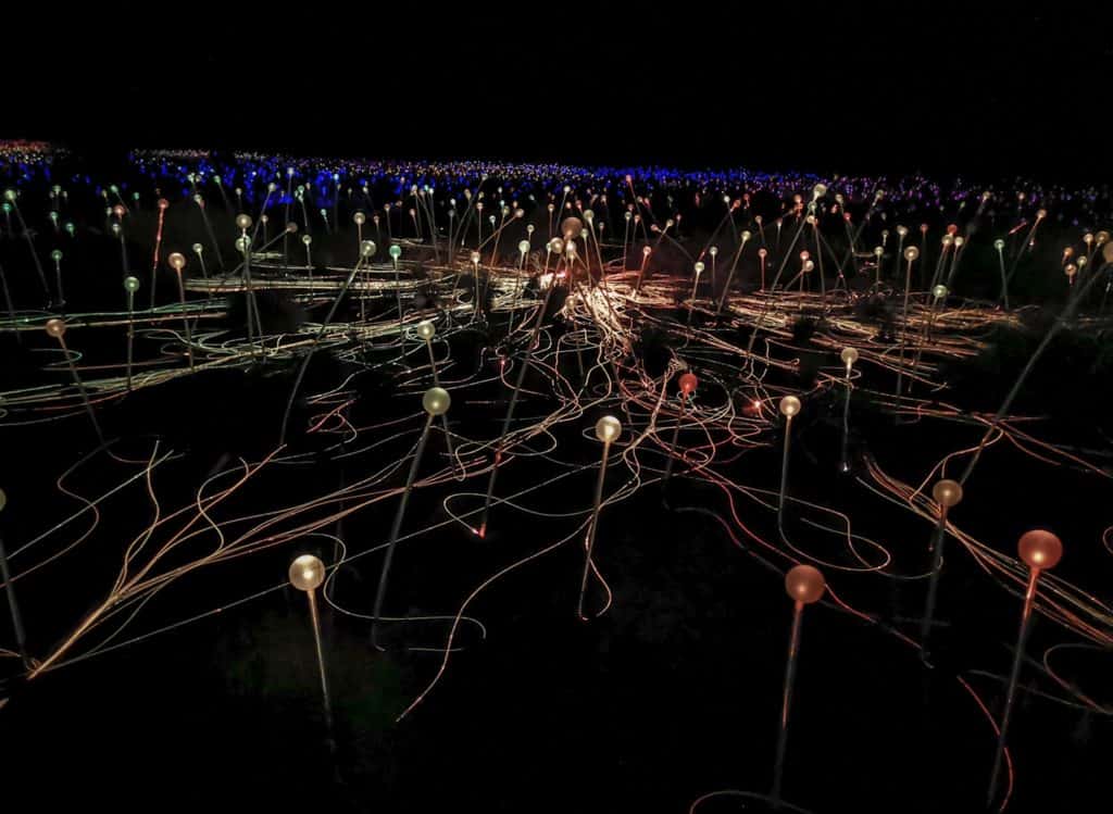 Field of flower like light stems in Outback Australia