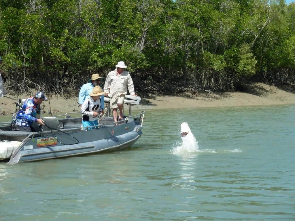 Darwin Barra Fishing, DNA Barra Fishing Darwin