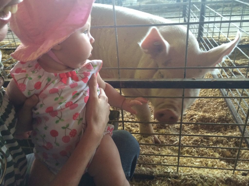 and a pig or 60 :)