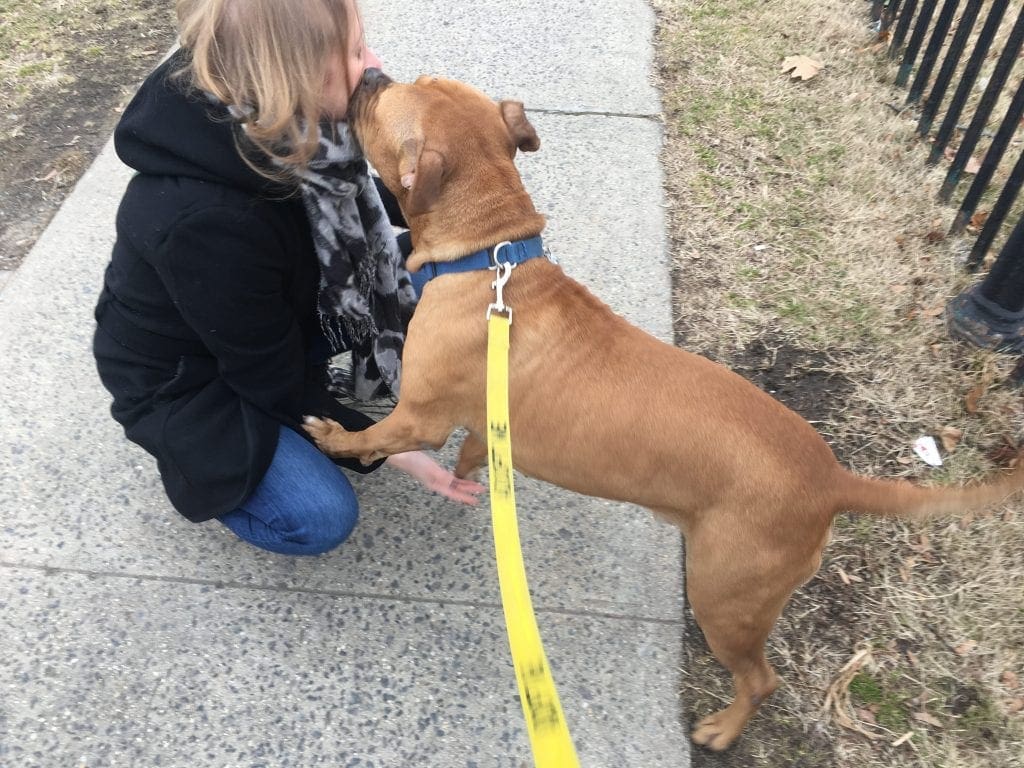 Sean Casey Animal Rescue's Ski, and Stacey