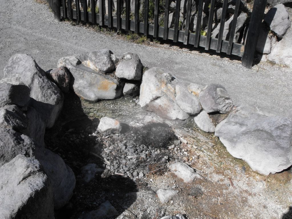 What you will find a lot of in Kuirau Park!