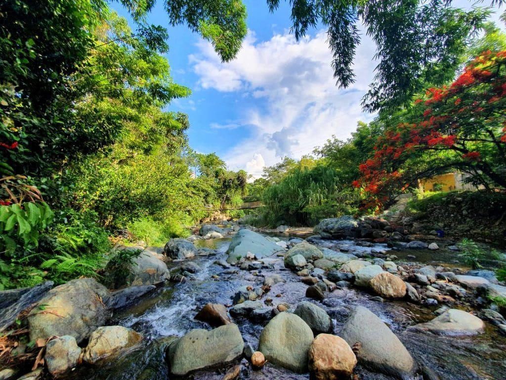 Frescor y belleza en el río Hato