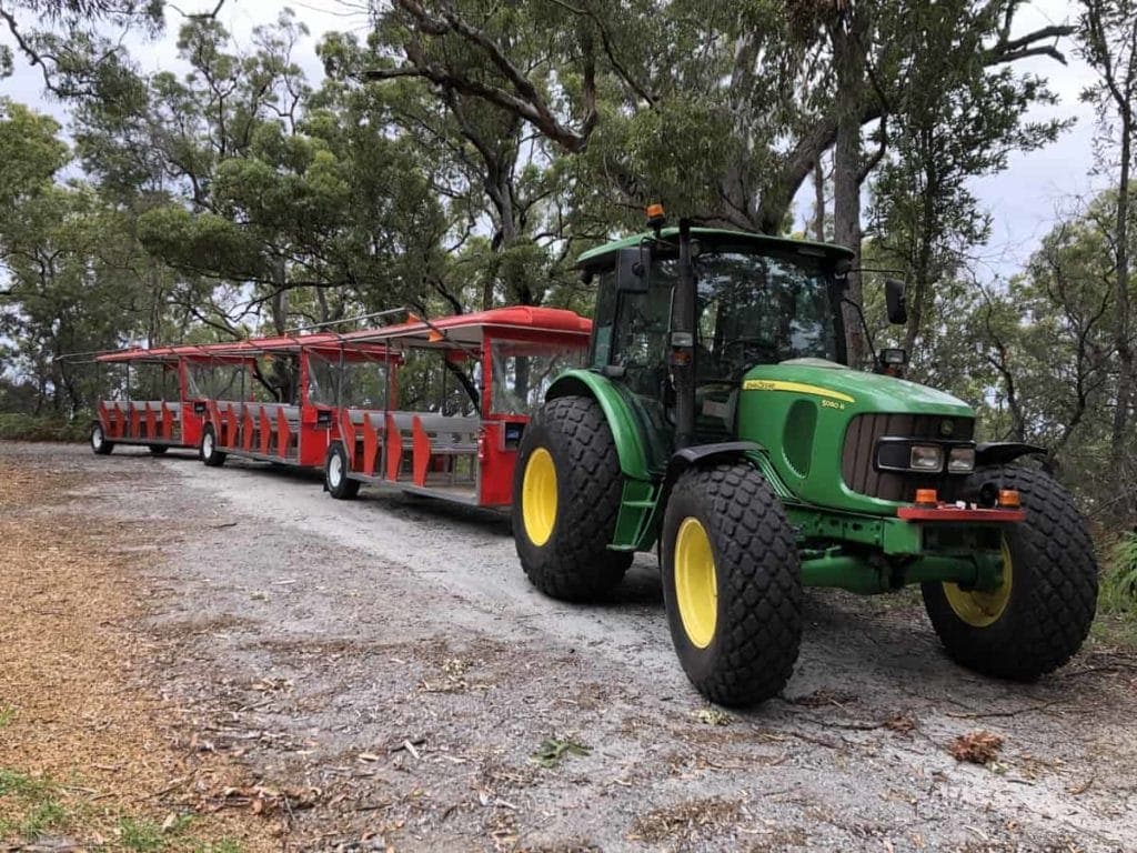 Toboggan Hill Park Tractor