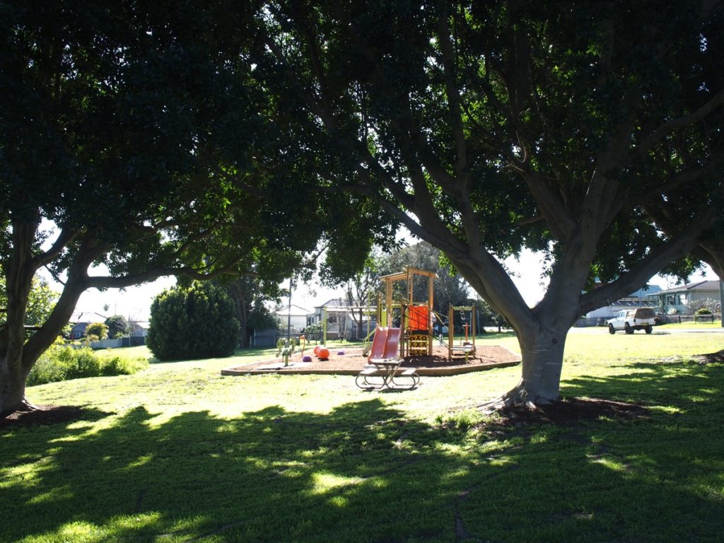 Carrington Street Reserve Playground Wallsend