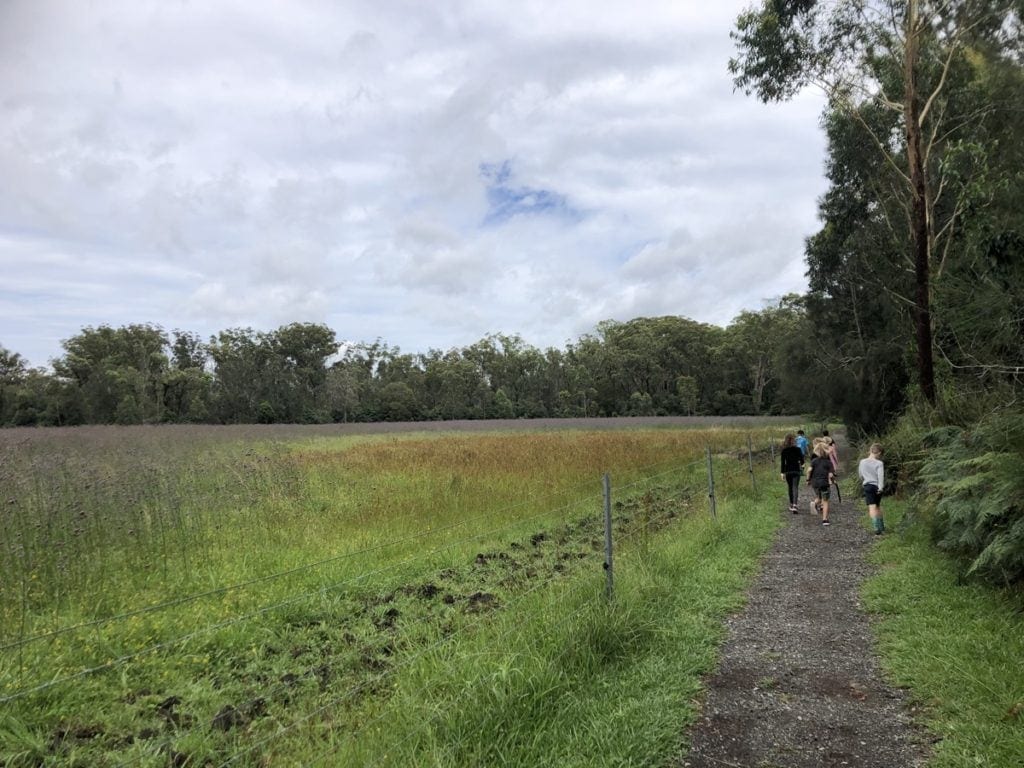 Sandy Creek Walk Cooranbong