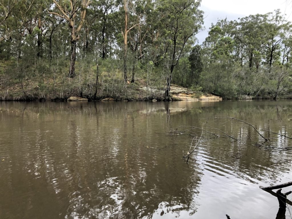 Sandy Creek Track Walk Cooranbong