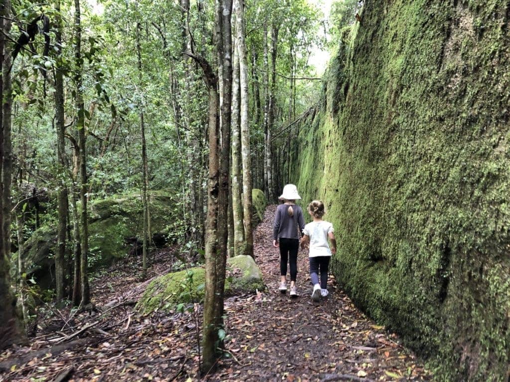 Boarding House Dam Moss Wall