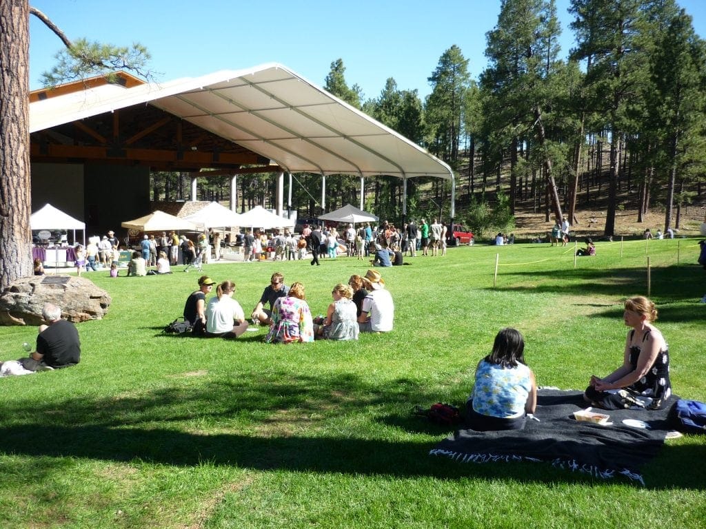 people sit on grass lawns surrounded by Ponderosa pine trees at teh Flagstaff Food and Wine Festival