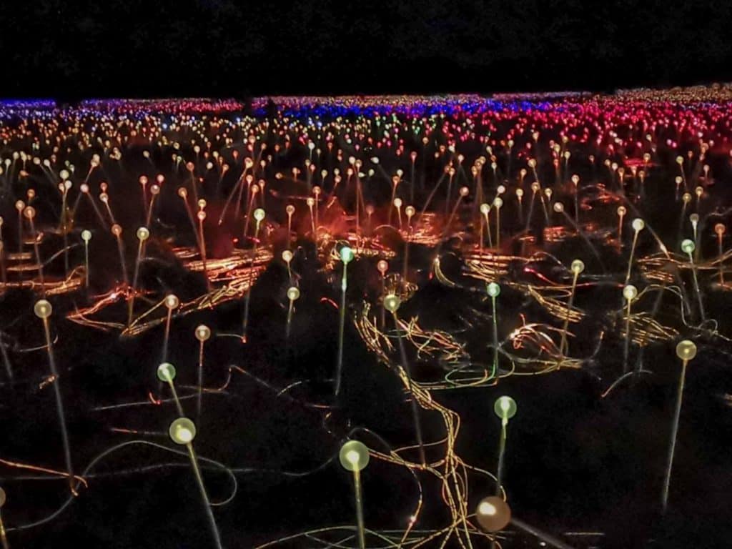 Field of Light Uluru/Ayers Rock