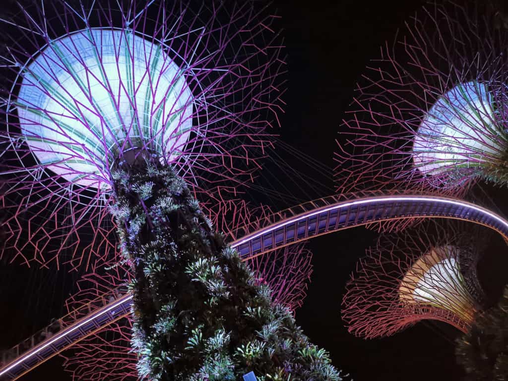 Gardens by the bay at night
