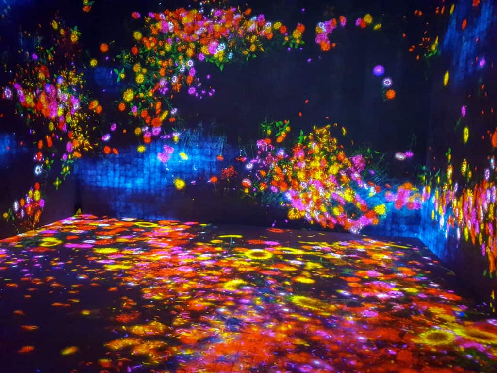 Artwork at teamLab Borderless in Japan