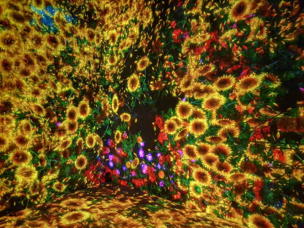 Artwork at teamLab Borderless in Tokyo