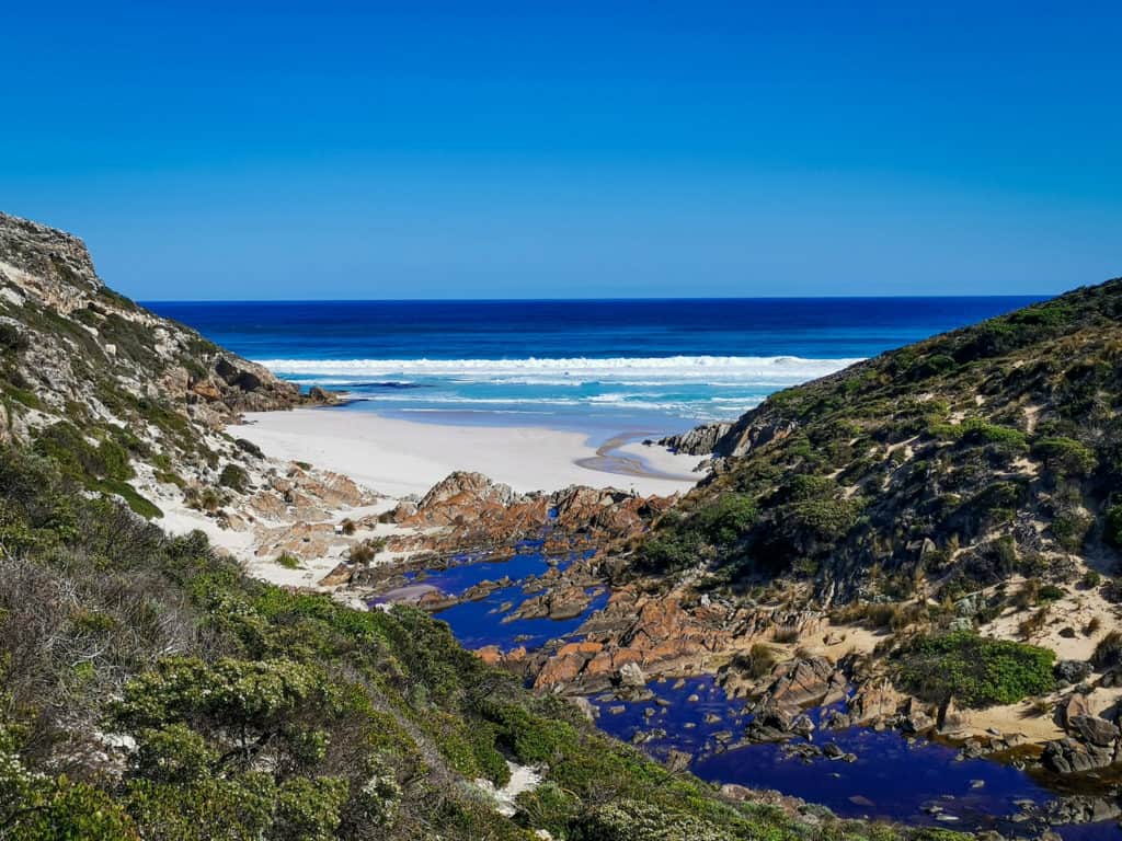 snake lagoon beach