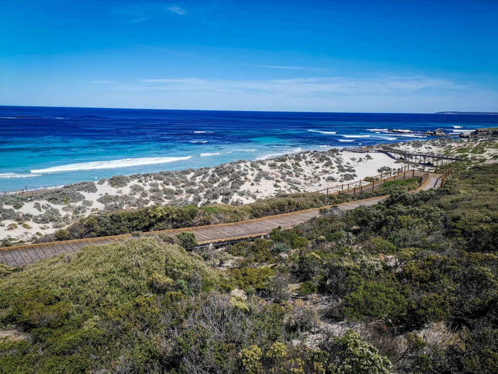 Seal Bay board walk on Kangaroo Island